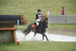 BVHT 140517  IXC -465