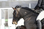 BVRC 050320 0046