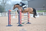 Cls 13 Foxhunter and 1.20m Open portfolio
