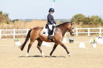 SBM_017329