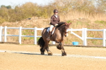 SBM_003475