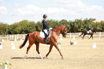 SBM_009337