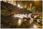 The Stepping Stones, Tollymore (IMG0569)
