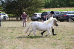 WJ6_6928