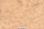 230811A-130918-05087