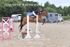 BPP_6330