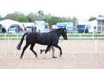 SBM_15348