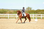 SBM_000155