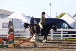 SBM_07901