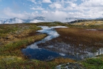 Hardangervidda Plateau