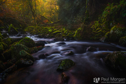 The Flow of Autumn II
