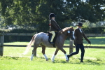 SBM_36701