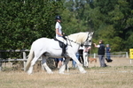 WJ7_9715
