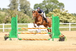 SBM_004431