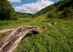 Deep Dale #11