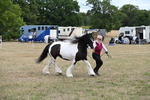 WJ6_5369
