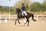 SBM_008536