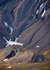 Arctic landscape