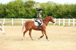 SBM_006536