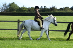 SBM_53997