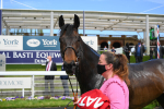 Race 3 2.40pm The Matchbook Betting Podcast Hambleton Stakes portfolio