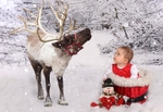 snow scene reindeer