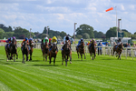 120626-Race 5-Antipodes-7797
