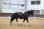 SBM_010179