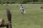 BVHT 140517  IXC -599