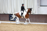 SBM_001660