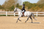 SBM_001519