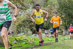 Dovedale Dash-931