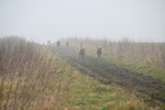 WJ6_7026