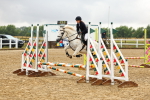SBM_000311