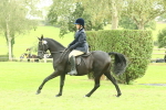 SBM_74108