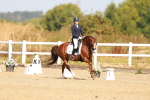 SBM_016813