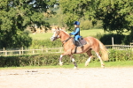 SBM_17491