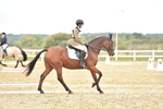 SBM_002492