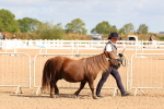 SBM_10968