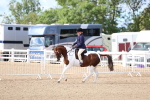 SBM_10067