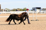 SBM_17686