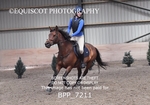BPP_7211