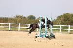 SBM_002243