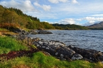 Loch Sunart