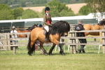 SBM_07667
