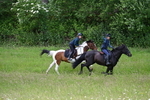 WJ7_8533