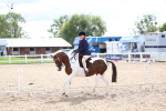 SBM_17546