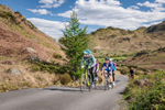 161541