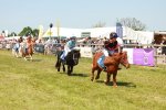 SBM_17292