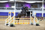 SBM_001952